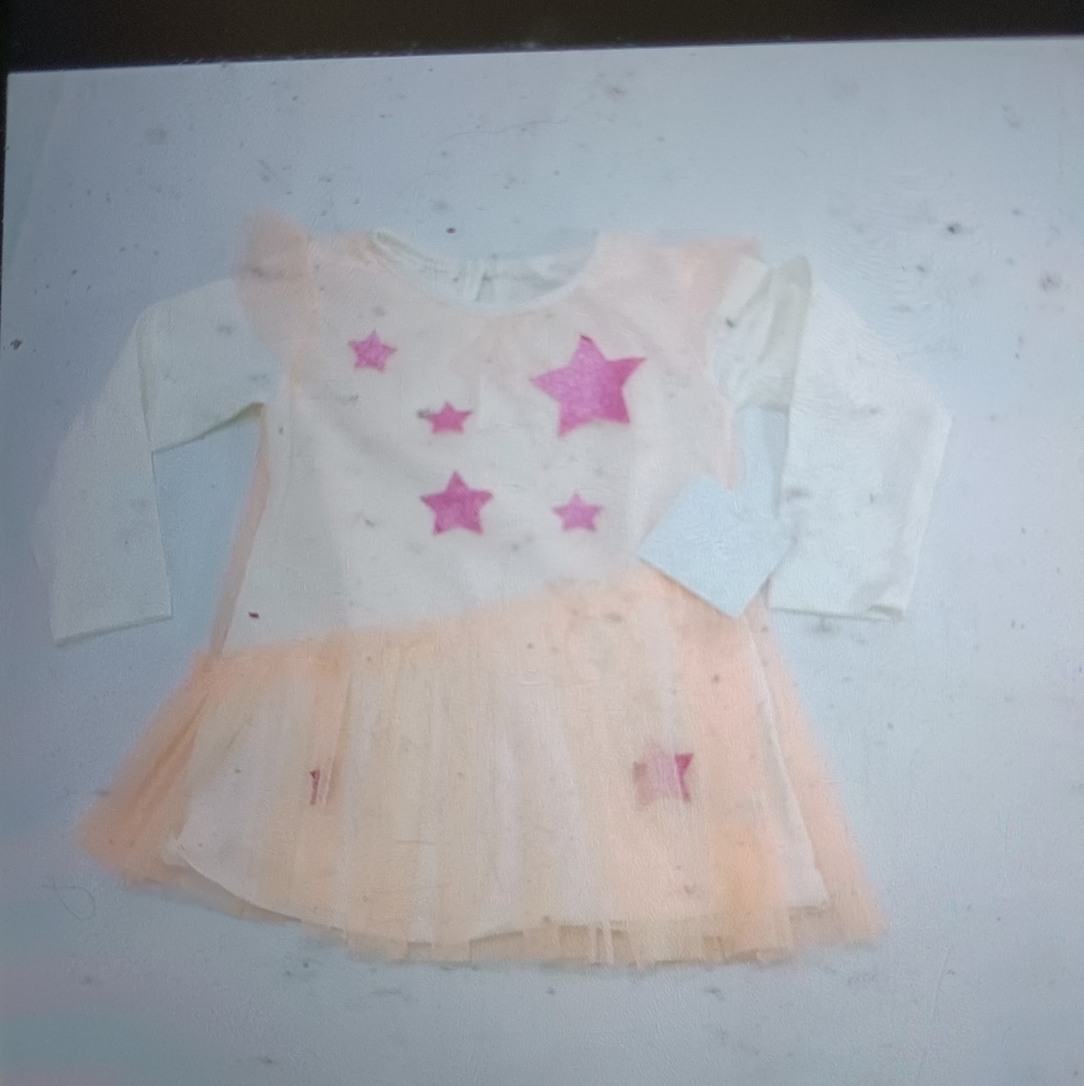 New Rose Pope dress 24 monthes